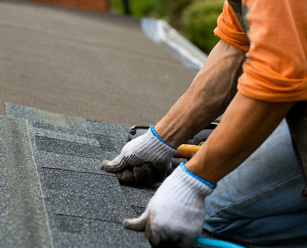 Quick and Trustworthy Emergency Roof Repair Services in Wilmette, IL